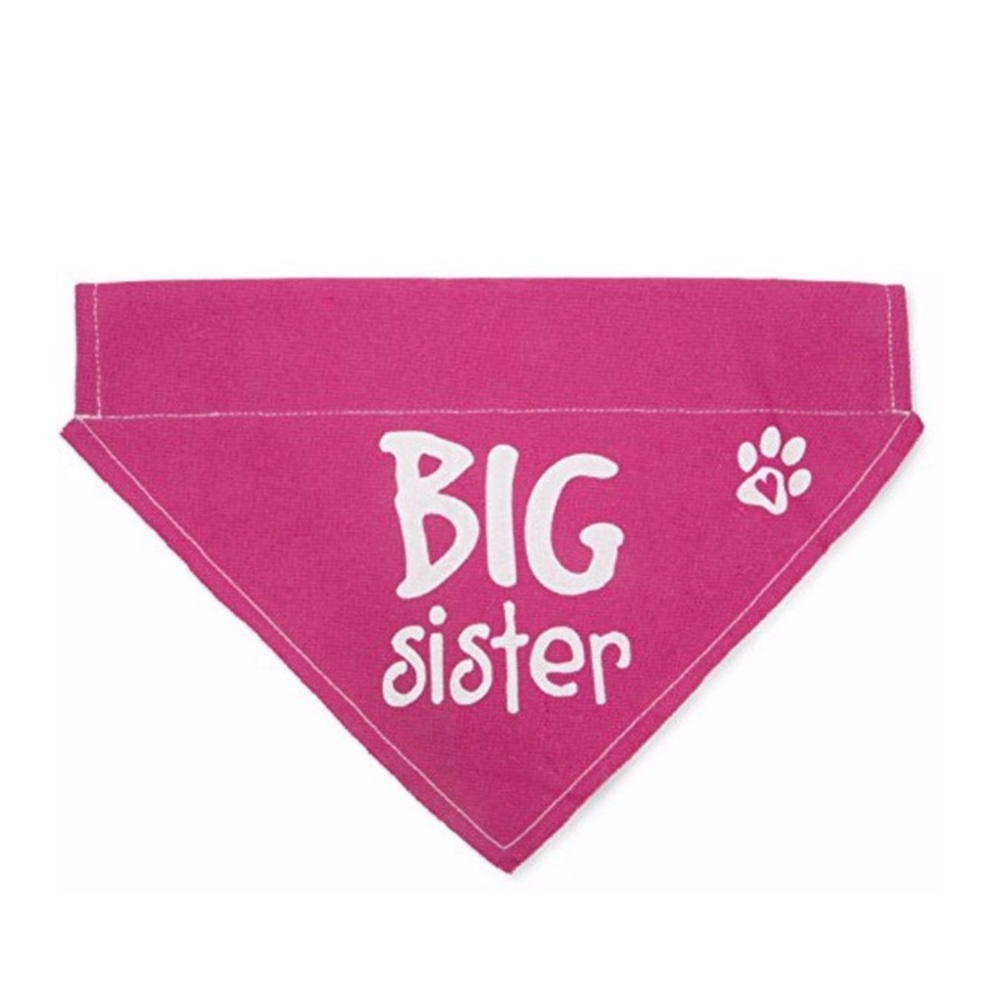 Big Sister Pink Dog Bandana - Pet Accessory
